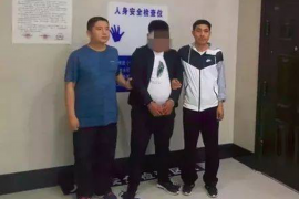 湾里专业催债公司的市场需求和前景分析